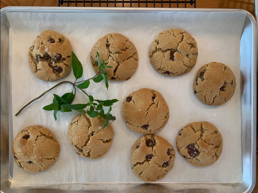 Busy day on&nbsp;Ninigret